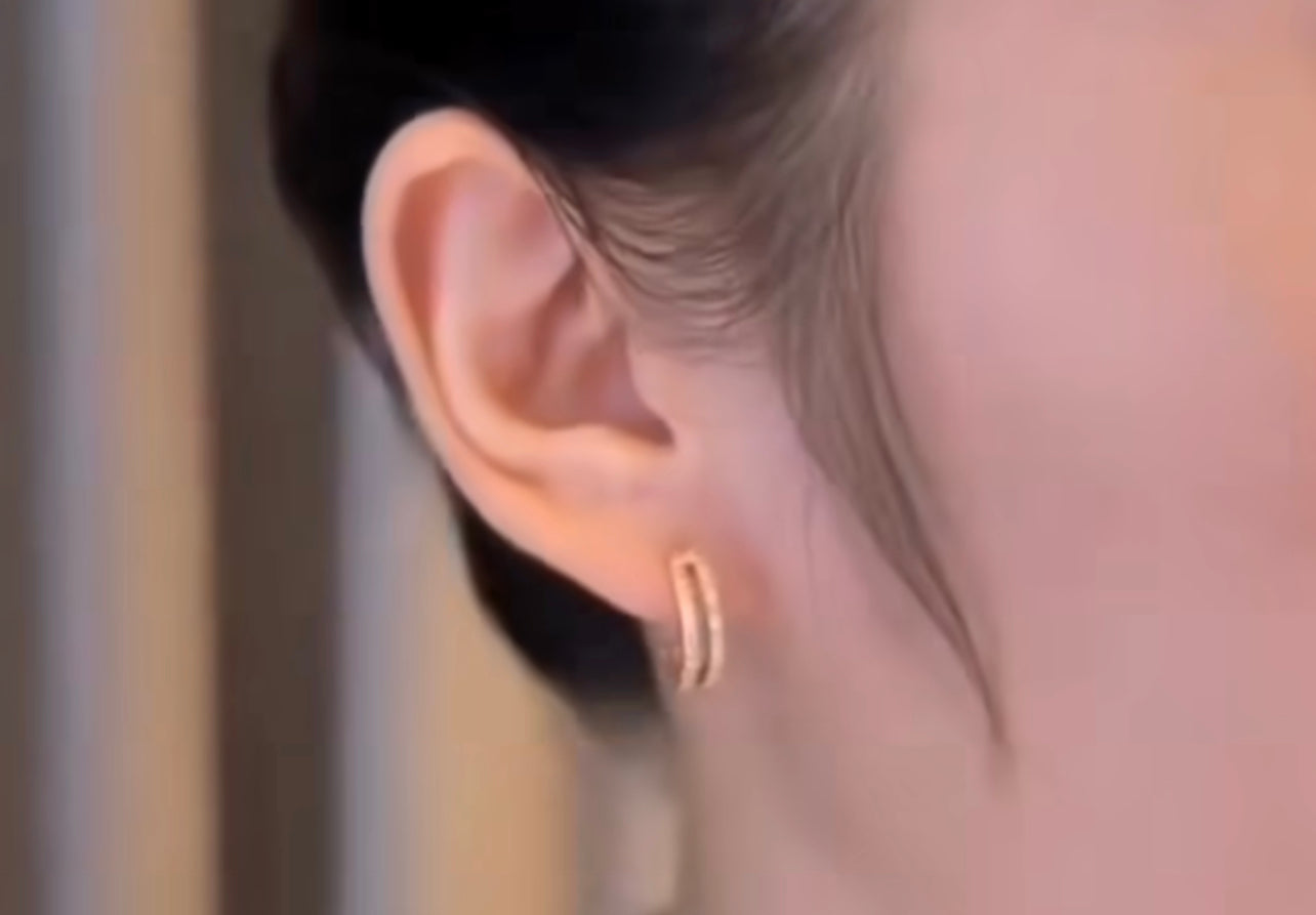 5 in 1 Pearl AD stud Earring
