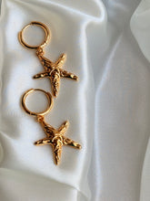 Golden Starfish Earings